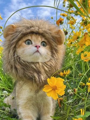 Furry Lion Mane Cat Costume