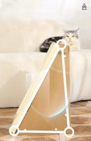 Oil painting cat scratching board