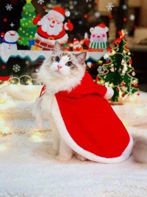 Cat Santa Cape for Christmas
