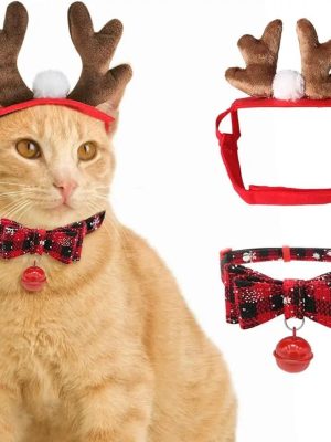 Cat Reindeer & Collar for Christmas