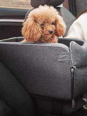 Comfortable_and_secure_cat_travel_car_seat