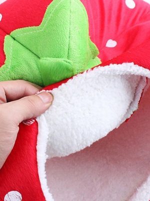 Cozy_foldable_cat_cave_with_removable_cushion