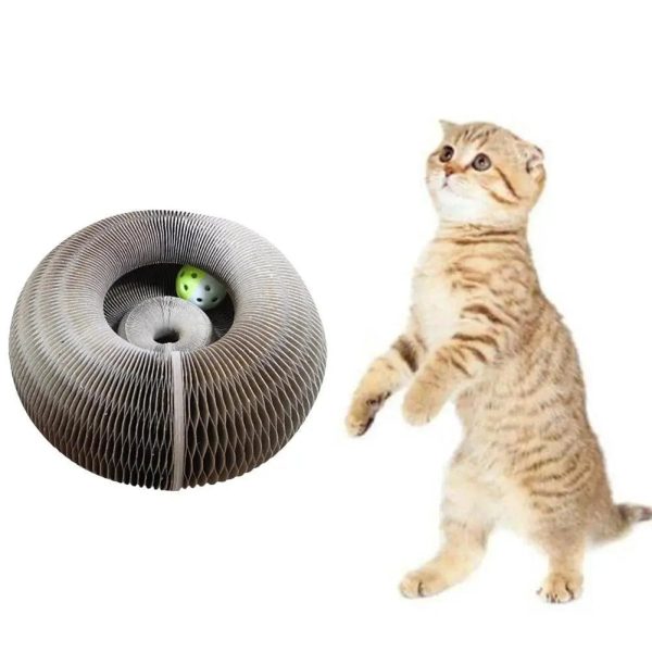 Magical Scratcher Foldable Cat Bed