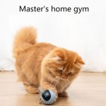 Self Rotating Smart Cat Ball