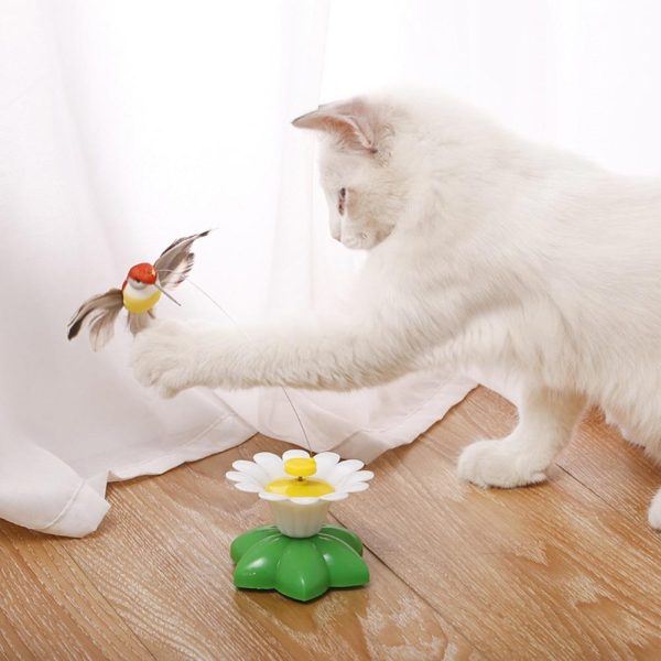 Butterfly & Bird Training Cat Toy