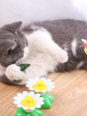Butterfly & Bird Training Cat Toy