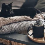 Reusable Creative Cat Tea Strainer