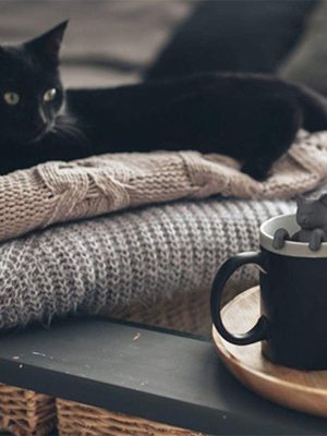Reusable Creative Cat Tea Strainer