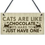 Life with Cats Home Wooden Plaques