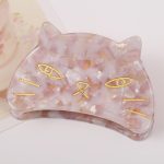 Acrylic Cat Claw Hair Clip