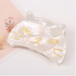Acrylic Cat Claw Hair Clip