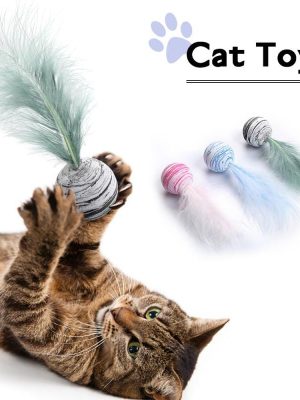 Cat Feather Balls