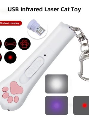 Interactive_multi-functional_cat_paw_keychain_for_indoor_play