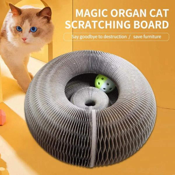 Magical Scratcher Foldable Cat Bed