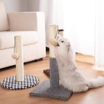 Mini cat scratching toy