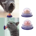 Nutritious Appetising Fish Cat Mints