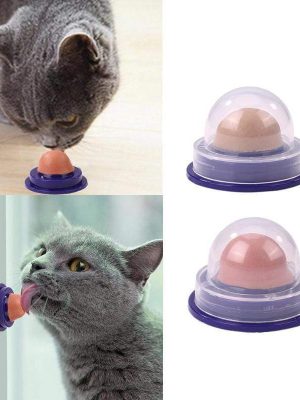 Nutritious Appetising Fish Cat Mints