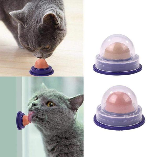 Nutritious Appetising Fish Cat Mints