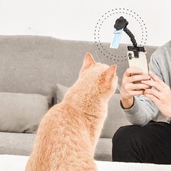 Snapcat Selfie Stick Cat Photography