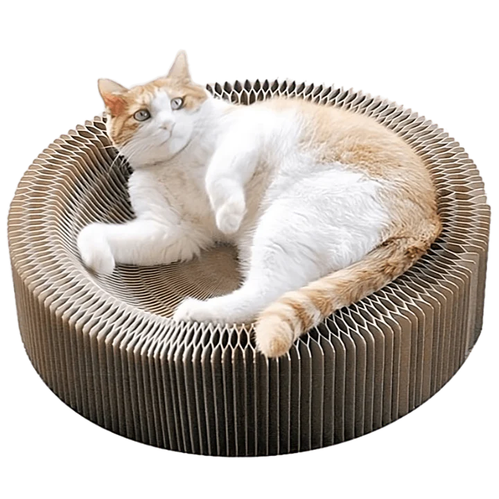 Magical Scratcher Foldable Cat Bed 6 O1CN01rsaNWh1r5goW69tjf 1879335580 transformed transformed 720x720 8d54840f fef8 41ab 9557 a750009b1779