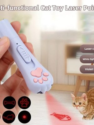Multi-functional Laser Cat Paw Keychain