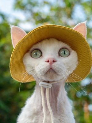 Adjustable Travel Sunscreen Cat Hat