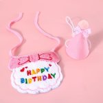 Cat Birthday Party Scarf Hat