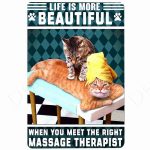 Funny Vintage Metal Cat Signs