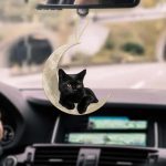 Cat On The Moon Cat Mirror Ornament