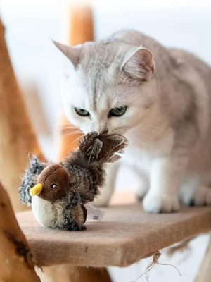 Chirping Bird Toy for Cats