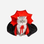 Cat Halloween Dracula Vampire Cape