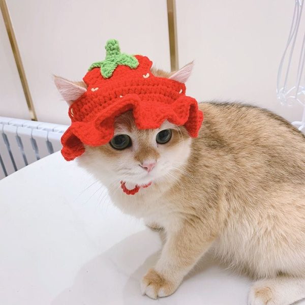 Adjustable Knitted Cute Cat Hat
