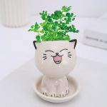 Adorable Ceramic Mini Planter Heads