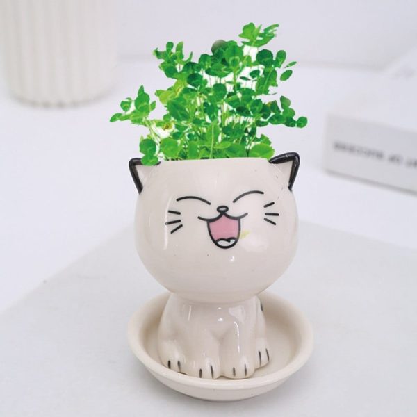 Adorable Ceramic Mini Planter Heads
