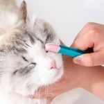 Reusable Cat Eye Wiping Brush