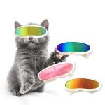 Cool Cat Goggles Summer Sunglasses