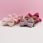 Personalized Velvet Cat Bow Collars