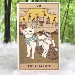 Cat Themed Tarot Cards Stickers