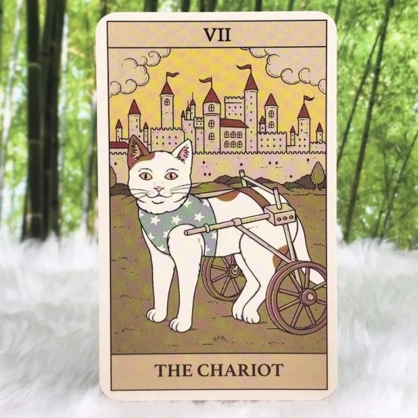Cat Themed Tarot Cards Stickers