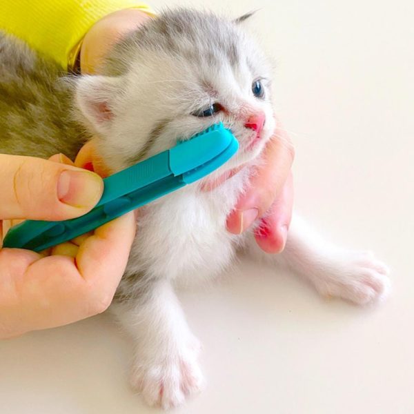 Reusable Cat Eye Wiping Brush
