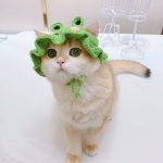 Adjustable Knitted Cute Cat Hat