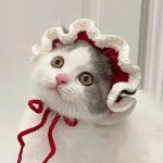 Adjustable Knitted Cute Cat Hat