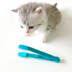 Reusable Cat Eye Wiping Brush