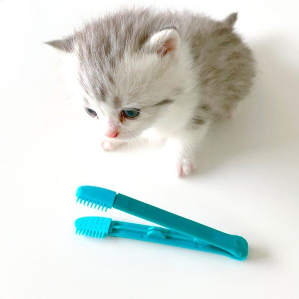 Reusable Cat Eye Wiping Brush