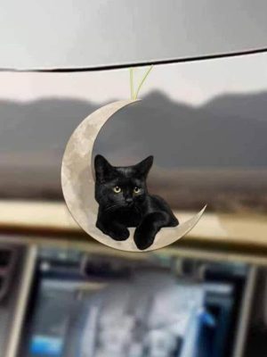 Cat On The Moon Cat Mirror Ornament