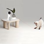 Automatic LED Handheld Cat Laser