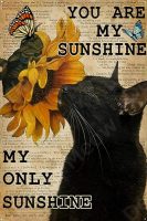 Funny Vintage Metal Cat Signs
