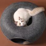 Cat Donut Indoor Interactive Bed