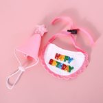 Cat Birthday Party Scarf Hat