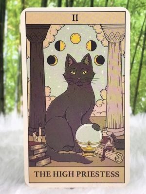 Cat Themed Tarot Cards Stickers